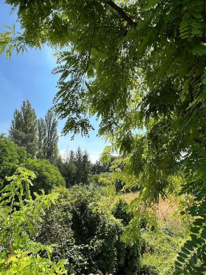 La Maison De Nicole Mousseaux-sur-Seine ภายนอก รูปภาพ